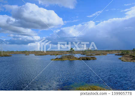 Aerial View of Wetlands and Islands in Yelnya Nature Reserve, Belarus 139905778
