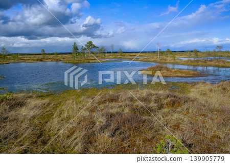 Aerial View of Lakes and Wetlands in Yelnya Nature Reserve, Belarus 139905779