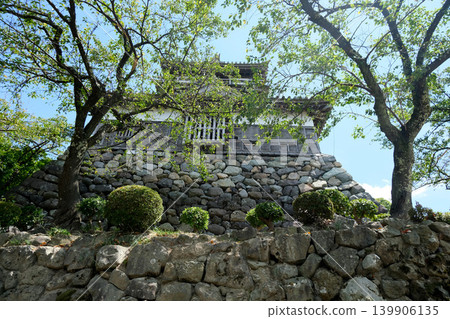 福井縣堺市 - 丸岡城 22 - 2025年8月 139906135
