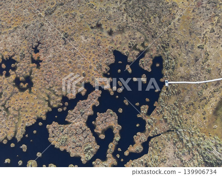 Aerial View of Water Channels and Peatland in Yelnya Nature Reserve 139906734