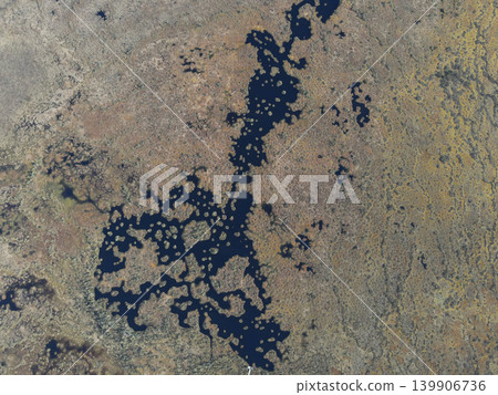 Aerial View of Water Channels and Lakes in Yelnya Nature Reserve, Belarus 139906736