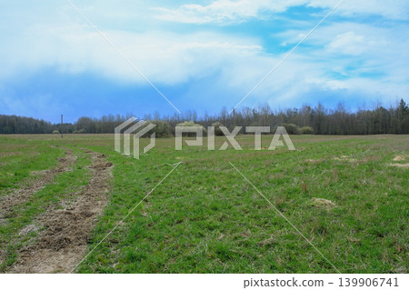 Grassy Field with Dirt Path and Tree Line in Yelnya Nature Reserve 139906741