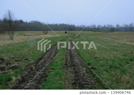 Muddy Dirt Path Through Grassy Field in Yelnya Nature Reserve, Belarus 139906746