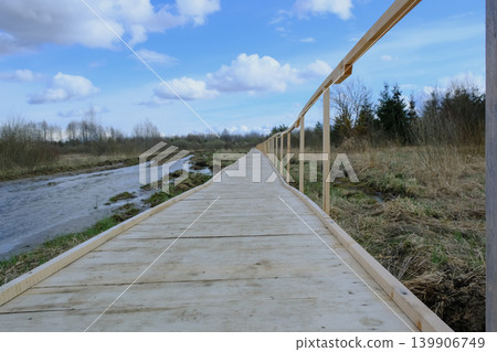 Wooden Boardwalk in Wetlands of Yelnya Nature Reserve, Belarus 139906749