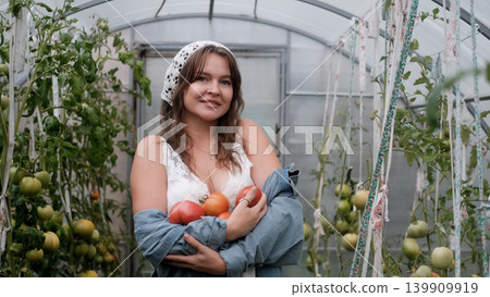 A seductive girl collects organic tomatoes in a greenhouse in the village, is engaged in farming. A seductive girl collects organic tomatoes in a greenhouse in the village, is engaged in farming. 139909919