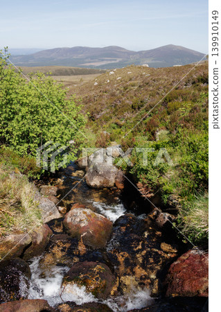 Treelined mountain stream flowing downhill over rocks, Cairngorms, Scotland Treelined mountain stream flowing downhill over rocks, Cairngorms, Scotland 139910149