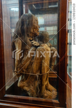 Preserved mummified body displayed in museum glass case 139910410