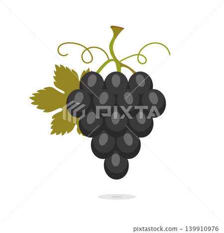 Illustration with bunch of dark grapes with leaf. Sweet fruit isolated on white background. Vector icon Illustration with bunch of dark grapes with leaf. Sweet fruit isolated on white background. Vector icon 139910976