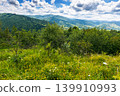 herb field in the mountain landscape in summer. wonderful view of carpathian mountains under cloudy sky. picturesque countryside landscape with forested hills. view in to the valley 139910993