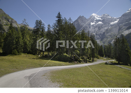 Alpine road winding through forest towards snowy mountains Alpine road winding through forest towards snowy mountains 139911014