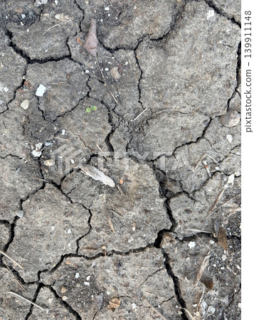 dried cracked earth close-up.The ground is a mosaic of hard, dry soil broken into irregular plates by deep, dark fissures. dried cracked earth close-up.The ground is a mosaic of hard, dry soil broken into irregular plates by deep, dark fissures. 139911148