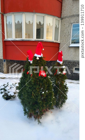 Row of ornamental thuja trees with Santa hats in the snow, winter festive landscape, outdoor holiday atmosphere. Christmas. Row of ornamental thuja trees with Santa hats in the snow, winter festive landscape, outdoor holiday atmosphere. Christmas. 139911710