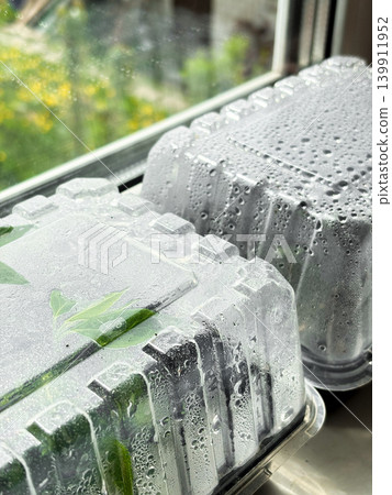 Two clear plastic containers on window sill. Each container holds green plants growing inside. Water droplets on surfaces, moisture inside. Greenery on background. Gardening and horticulture 139911952