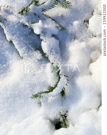 Closeup view of fresh snow blankets the ground, soft white textured surface. Green pine branches peek through snow. Sunlight highlighting contrast between vibrant greenery and chilly, white snow Closeup view of fresh snow blankets the ground, soft white textured surface. Green pine branches peek through snow. Sunlight highlighting contrast between vibrant greenery and chilly, white snow 139912008
