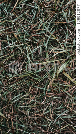 Green grass texture. Decorative natural background for design Green grass texture. Decorative natural background for design 139912077
