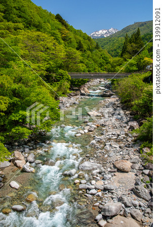 A mountain stream near Shinhotaka Onsen in the Okuhida Onsenkyo area during the fresh green season (Takayama City, Gifu Prefecture) A mountain stream near Shinhotaka Onsen in the Okuhida Onsenkyo area during the fresh green season (Takayama City, Gifu Prefecture) 139912091