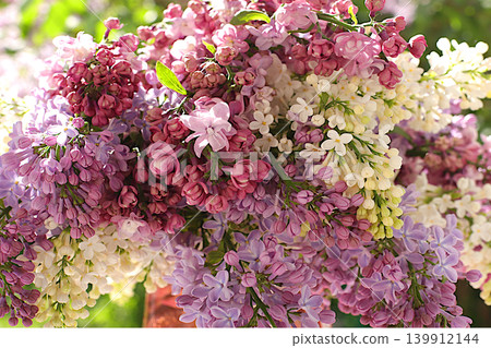 Beautiful spring lilac flowers close-up, abstract floral arrangement with flowers of different varieties of lilac, floral greeting card, banner with spring flowers, design template. Beautiful spring lilac flowers close-up, abstract floral arrangement with flowers of different varieties of lilac, floral greeting card, banner with spring flowers, design template. 139912144
