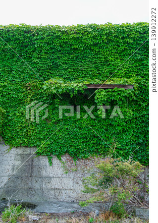 Storehouse vines Storehouse vines 139912272