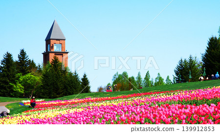 Tulip field of Takino Suzuran Park Tulip field of Takino Suzuran Park 139912853
