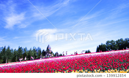 Tulip field of Takino Suzuran Park 139912854