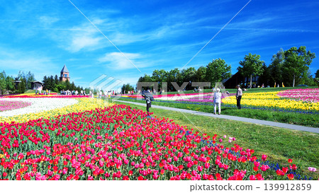 Tulip field of Takino Suzuran Park Tulip field of Takino Suzuran Park 139912859