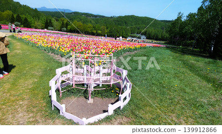 Tulip field of Takino Suzuran Park 139912866