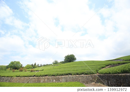 Beautiful tea terraces in the middle of tea fields. Beautiful tea terraces in the middle of tea fields. 139912972