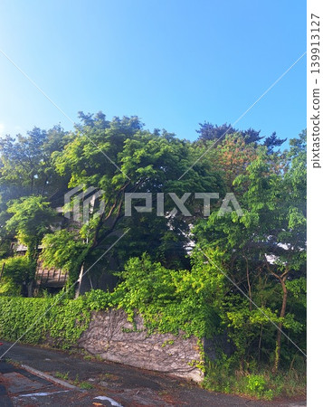A vacant house covered in grass A vacant house covered in grass 139913127