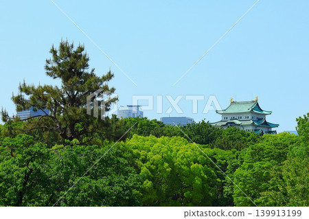 Nagoya Castle seen through the fresh green foliage Nagoya Castle seen through the fresh green foliage 139913199