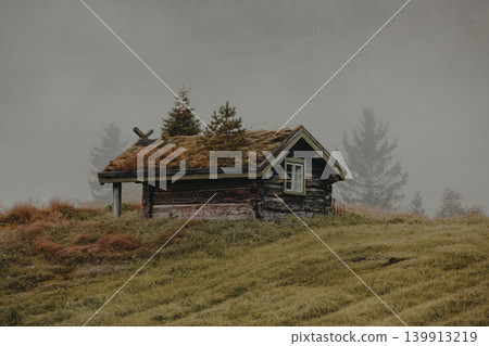 Old wooden house with roof covered with moss and trees, Norway Old wooden house with roof covered with moss and trees, Norway 139913219
