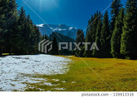 Picturesque mountain valley with forest 139913316