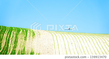 在一個清爽的初夏天,晴空萬裡,一架飛機飛越北海道美瑛町。 在一個清爽的初夏天,晴空萬裡,一架飛機飛越北海道美瑛町。 139913470