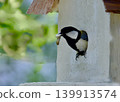 Parent birds discard their chicks' droppings in exchange for food. 139913574