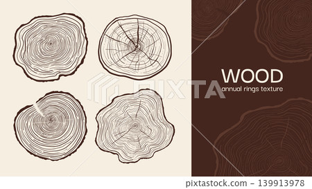 Hand drawn tree ring pattern abstract line art set wood cross section textures annual rings slices Hand drawn tree ring pattern abstract line art set wood cross section textures annual rings slices 139913978