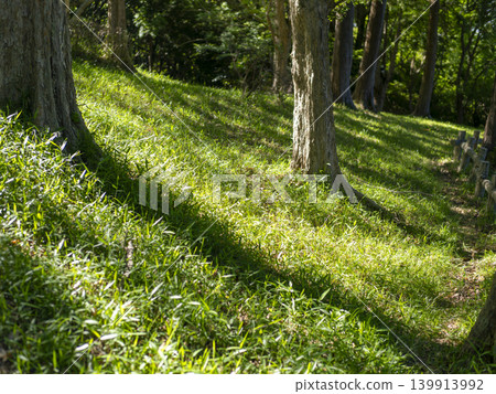 The scenery of Mount Satsukiyama bathed in the morning sun. The scenery of Mount Satsukiyama bathed in the morning sun. 139913992