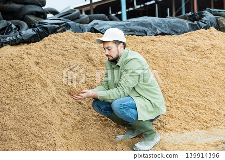 Young farmer checking quality of brewers spent grains in open storage Young farmer checking quality of brewers spent grains in open storage 139914396