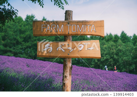 [Farm Tomita] Lavender field sign 139914403