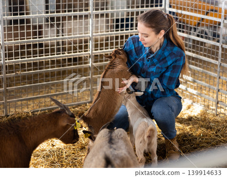 Young female farmer playing with goatlings in stall Young female farmer playing with goatlings in stall 139914633