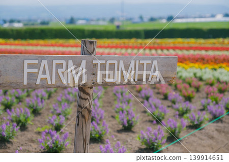 [Farm Tomita] A landscape overflowing with colorful flowers in full bloom 139914651