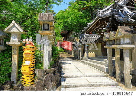 Shinzumi Asako Sonokoji Shinzumi Asako Sonokoji 139915647