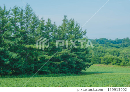 [Shiretoko] The untouched beauty of this World Natural Heritage site. 139915902