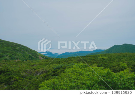 [Shiretoko] The untouched beauty of this World Natural Heritage site. 139915920
