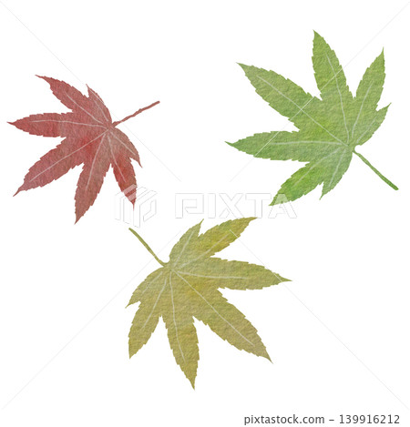 A set of Japanese-style illustrations featuring autumn-colored maple leaves. A set of Japanese-style illustrations featuring autumn-colored maple leaves. 139916212
