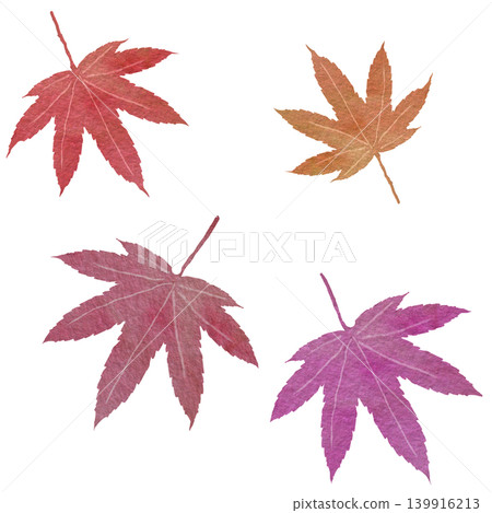 一組日式楓葉插圖，呈現漸層的紅色秋色。 139916213