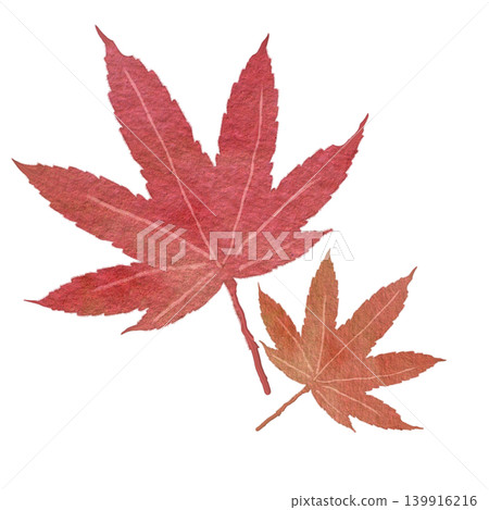 日式風格的秋色楓葉插畫 139916216