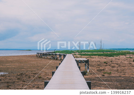 [Notsuke Peninsula] Todowara, a gray wilderness that stretches across the tip of the Notsuke Peninsula. 139916237