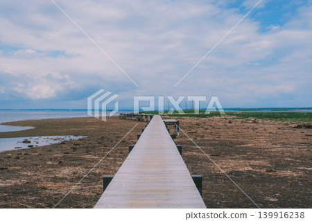 [Notsuke Peninsula] Todowara, a gray wilderness that stretches across the tip of the Notsuke Peninsula. 139916238