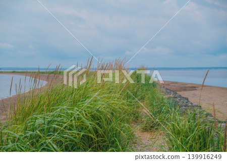 [Notsuke Peninsula] Todowara, a gray wilderness that stretches across the tip of the Notsuke Peninsula. 139916249