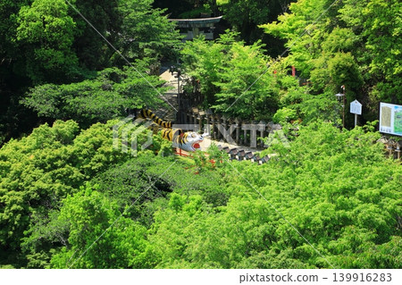 Shinzumi Asako Sonokoji Shinzumi Asako Sonokoji 139916283