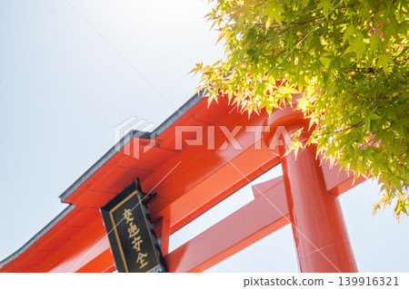 山口縣(五月)【旅遊景點】紅色的鳥居和翠綠的銀杏樹-交通安全 山口縣(五月)【旅遊景點】紅色的鳥居和翠綠的銀杏樹-交通安全 139916321
